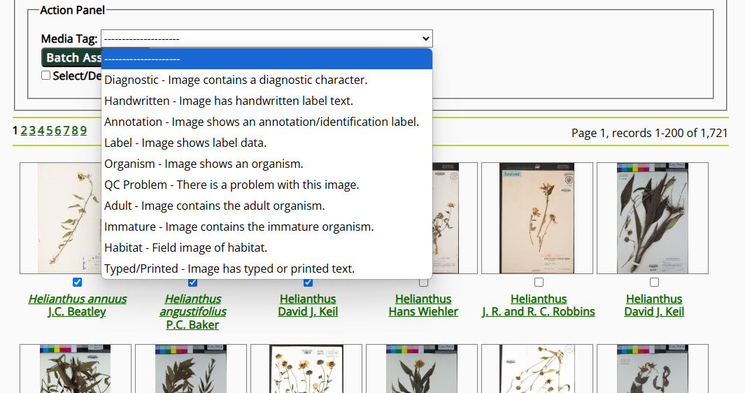 Batch Media Tagging Interface