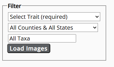 Trait Scoring Filters