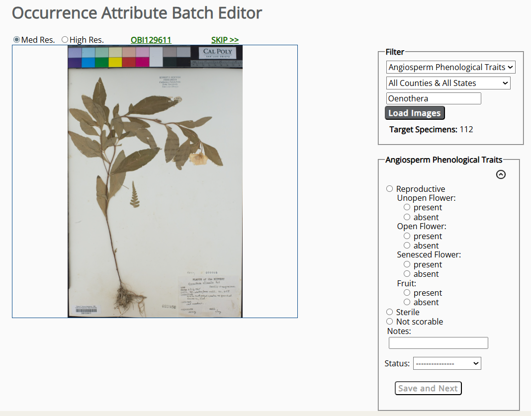 Trait Scoring from Images
