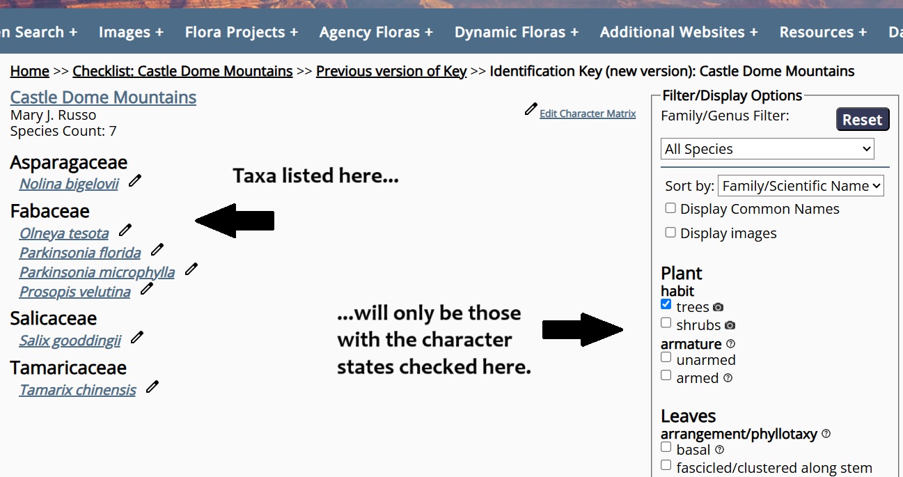 Identification Keys Example