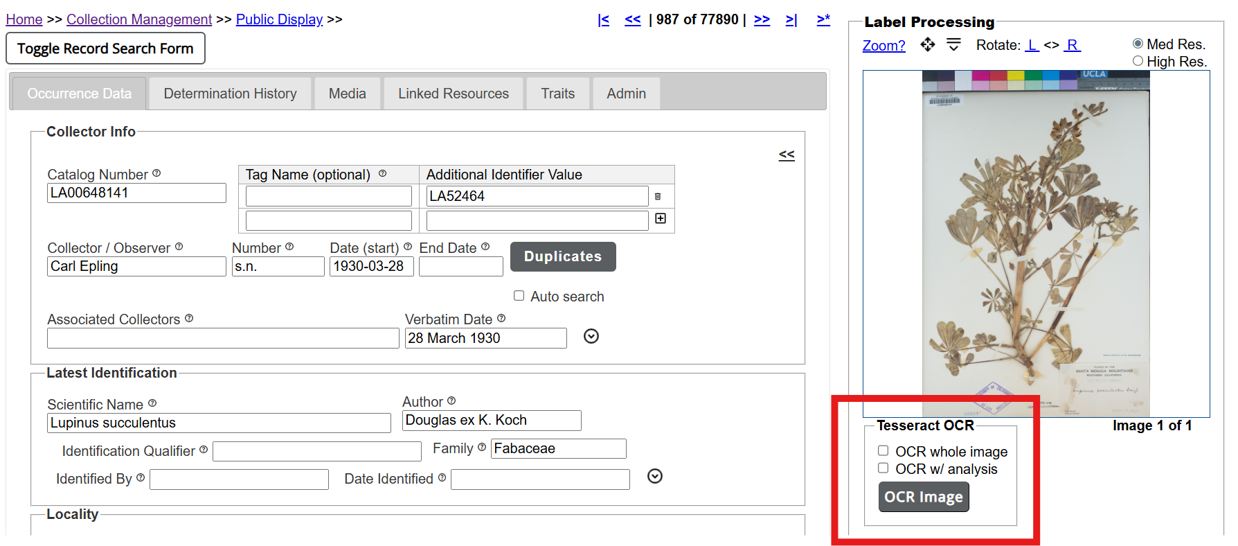 OCR in Occurrence Editor