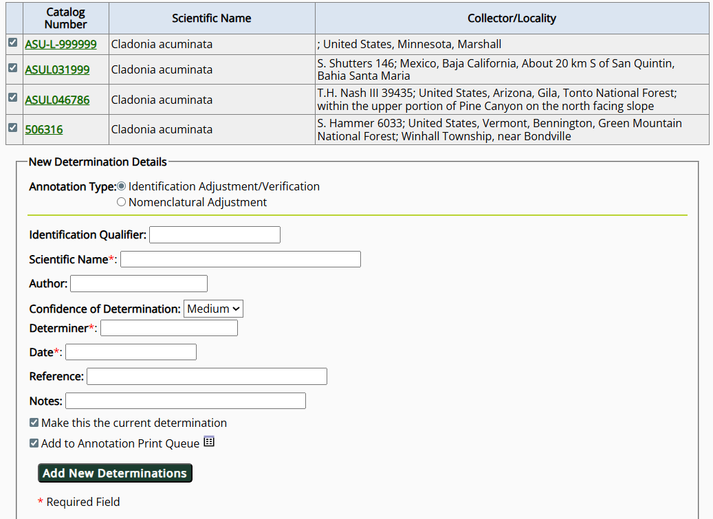Formulaire de saisie pour l'annotation en lot