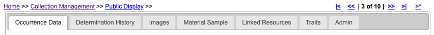 Tabs available in the editor panel