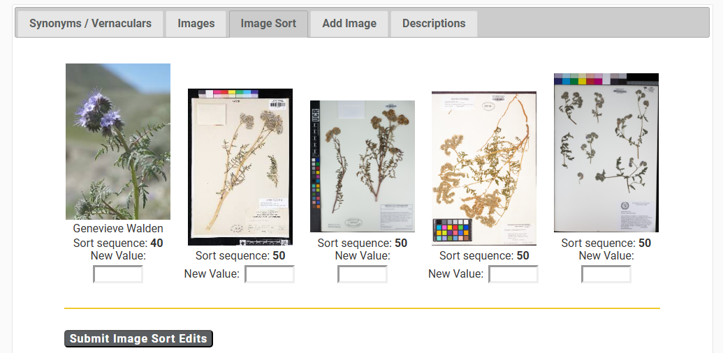 Tri des images dans l'éditeur de fiches taxon